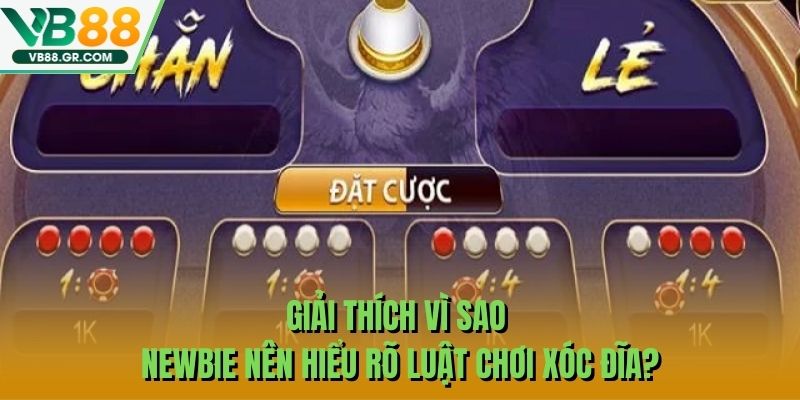 Giải thích vì sao newbie nên hiểu rõ luật chơi xóc đĩa