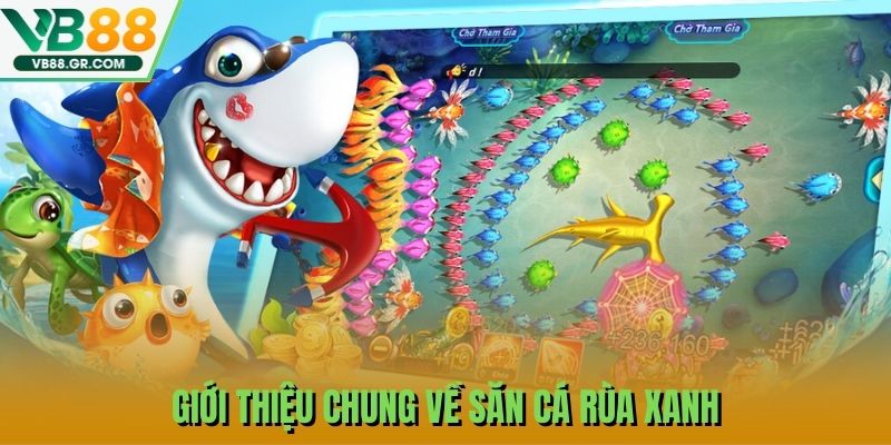 Giới thiệu chung về săn cá rùa xanh