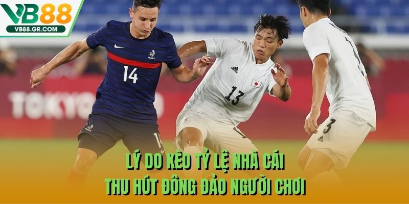 Lý do kèo tỷ lệ nhà cái thu hút đông đảo người chơi
