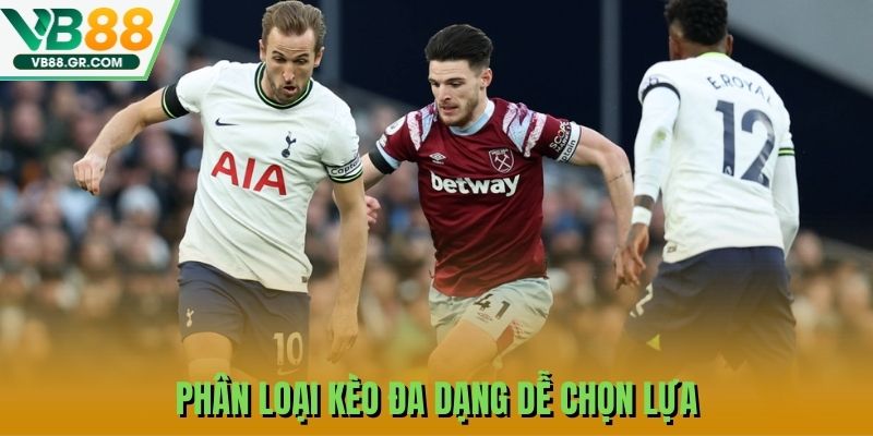 Phân loại kèo đa dạng dễ chọn lựa