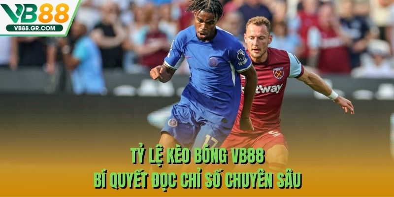 Tỷ Lệ Kèo Bóng VB88 - Bí Quyết Đọc Chỉ Số Chuyên Sâu