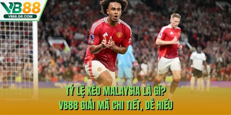 Tỷ Lệ Kèo Malaysia Là Gì? VB88 Giải Mã Chi Tiết, Dễ Hiểu