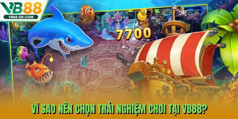 Vì sao nên chọn trải nghiệm chơi tại VB88